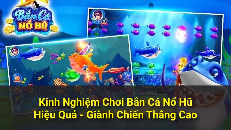 Kinh Nghiệm Chơi Bắn Cá Nổ Hũ Hiệu Quả - Giành Chiến Thắng Cao