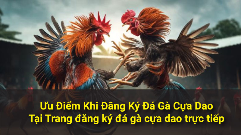 Quy Trình Đăng Ký Trang Tham Gia Đá Gà Cựa Dao Trực Tiếp