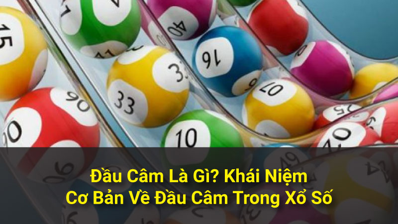 Đầu Câm Là Gì? Khái Niệm Cơ Bản Về Đầu Câm Trong Xổ Số