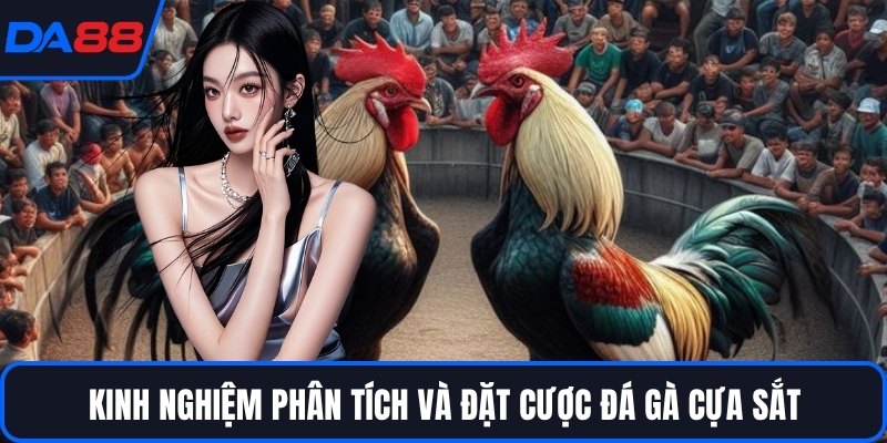 Kinh nghiệm phân tích và đặt cược đá gà cựa sắt